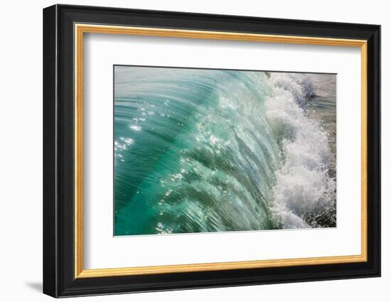 Wave folding over as it breaks in Kailua Bay, Oahu, Hawaii-Mark A Johnson-Framed Photographic Print