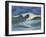 Wave Portrait No. 18-Marie Marfia Fine Art-Framed Giclee Print