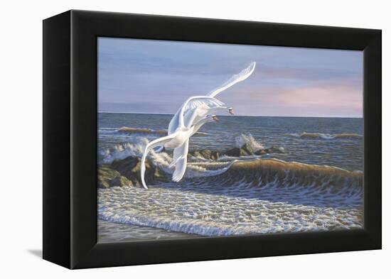 Wave Skimmers-Bruce Dumas-Framed Premier Image Canvas