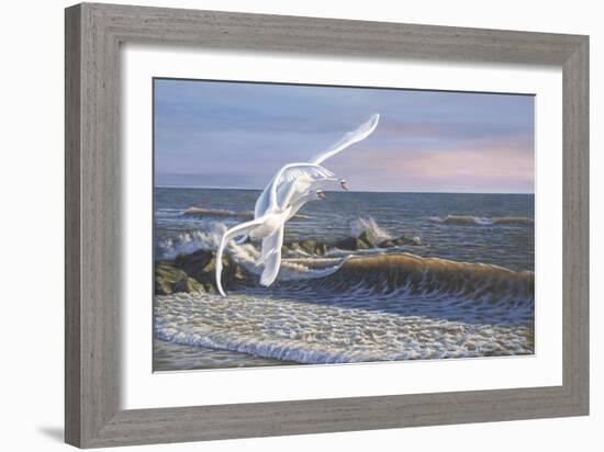 Wave Skimmers-Bruce Dumas-Framed Giclee Print