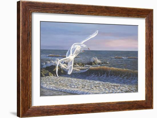 Wave Skimmers-Bruce Dumas-Framed Giclee Print