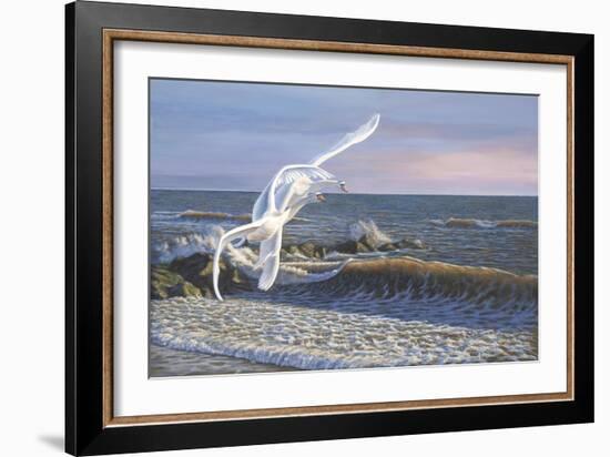 Wave Skimmers-Bruce Dumas-Framed Giclee Print