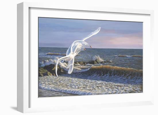 Wave Skimmers-Bruce Dumas-Framed Giclee Print