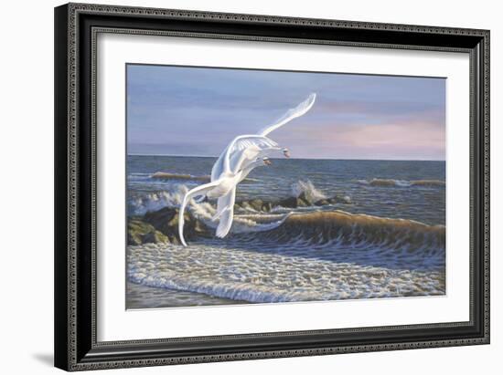 Wave Skimmers-Bruce Dumas-Framed Giclee Print