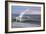 Wave Skimmers-Bruce Dumas-Framed Giclee Print