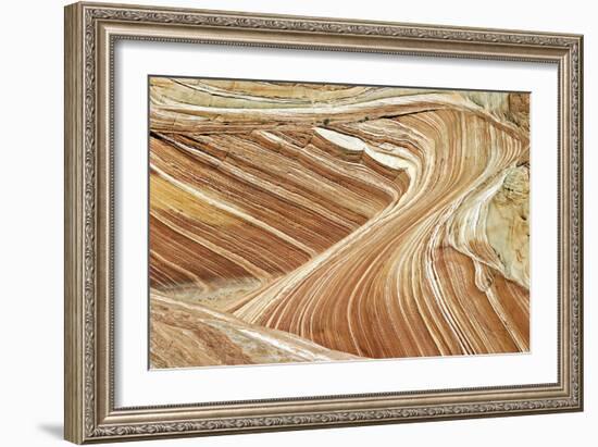 Wave Swirls-Larry Malvin-Framed Photographic Print