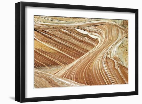 Wave Swirls-Larry Malvin-Framed Photographic Print