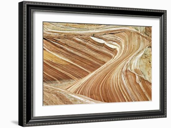 Wave Swirls-Larry Malvin-Framed Photographic Print