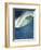 Wave, Waimea, North Shore, Hawaii-Douglas Peebles-Framed Photographic Print