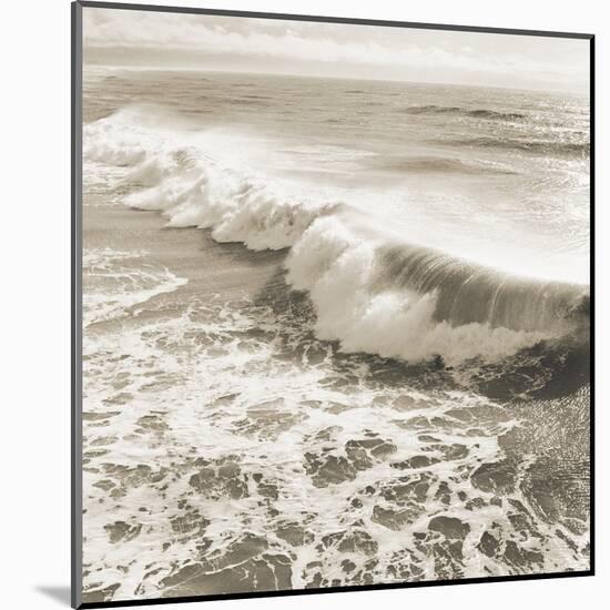 Wave-Michael Kahn-Mounted Art Print