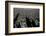 Wave-Lee Peterson-Framed Photographic Print