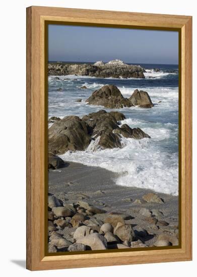 Waves Along Monterey Peninsula, California Coast, Vertical Image-Sheila Haddad-Framed Premier Image Canvas