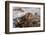 Waves Along the Coast, Montana de Oro SP, Los Osos, California-Rob Sheppard-Framed Photographic Print