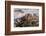 Waves Along the Coast, Montana de Oro SP, Los Osos, California-Rob Sheppard-Framed Photographic Print