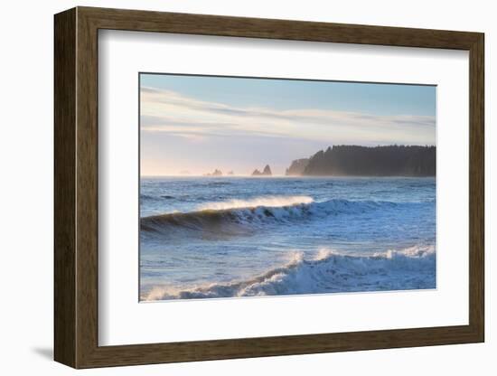 Waves approaching Rialto Beach Olympic National Park, Washington State-Alan Majchrowicz-Framed Photographic Print