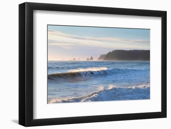 Waves approaching Rialto Beach Olympic National Park, Washington State-Alan Majchrowicz-Framed Photographic Print