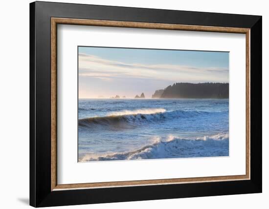 Waves approaching Rialto Beach Olympic National Park, Washington State-Alan Majchrowicz-Framed Photographic Print