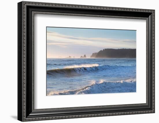 Waves approaching Rialto Beach Olympic National Park, Washington State-Alan Majchrowicz-Framed Photographic Print