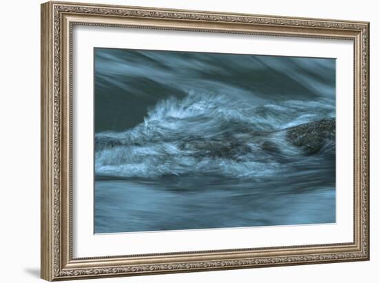 Waves Beating On Log-Anthony Paladino-Framed Giclee Print