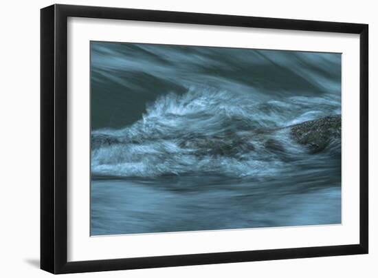 Waves Beating On Log-Anthony Paladino-Framed Premium Giclee Print