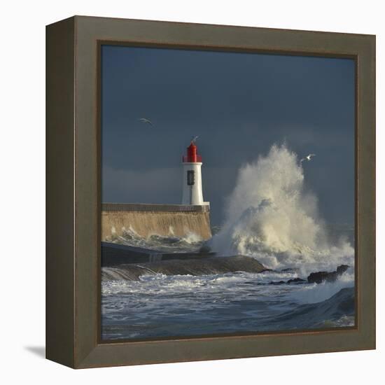 Waves breaking against port wall with lighthouse during storm-Loic Poidevin-Framed Premier Image Canvas