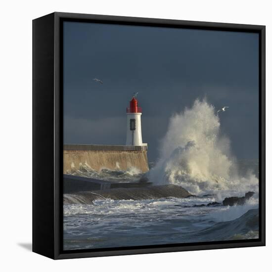 Waves breaking against port wall with lighthouse during storm-Loic Poidevin-Framed Premier Image Canvas