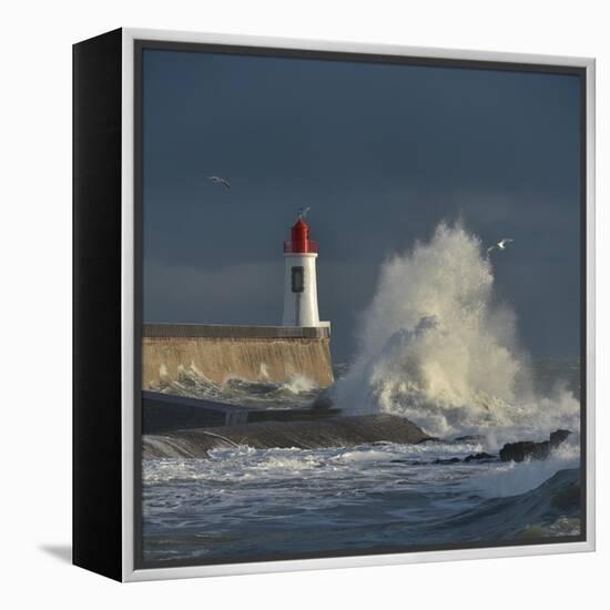 Waves breaking against port wall with lighthouse during storm-Loic Poidevin-Framed Premier Image Canvas