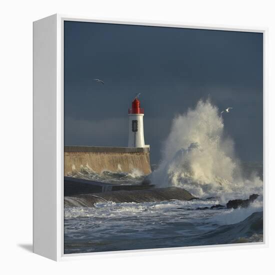 Waves breaking against port wall with lighthouse during storm-Loic Poidevin-Framed Premier Image Canvas