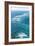 Waves Breaking on Great Barrier Reef, Queensland, Australia-null-Framed Photographic Print