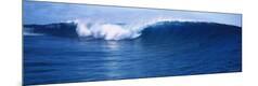 Premium Photographic Print