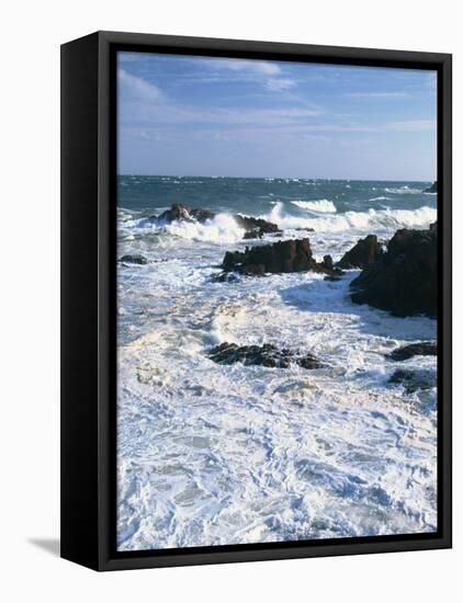 Waves Breaking on the Rocks Along the Corniche D'Esterel, Alpes-Maritimes, Provence, France-David Hughes-Framed Premier Image Canvas