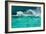 Waves Breaking over Edge of Pool of Bondi Icebergs Swim Club, Bondi Beach, Sydney-null-Framed Photographic Print