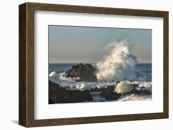 Waves Crashing on Rocks at Sunset, Asilomar State Beach, California-Sheila Haddad-Framed Photographic Print