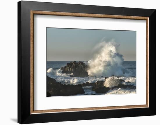 Waves Crashing on Rocks at Sunset, Asilomar State Beach, California-Sheila Haddad-Framed Photographic Print