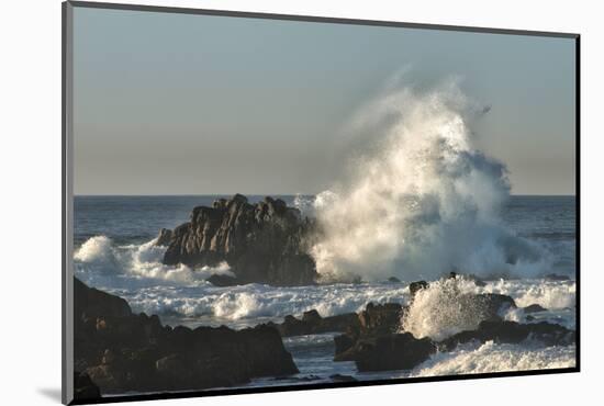 Waves Crashing on Rocks at Sunset, Asilomar State Beach, California-Sheila Haddad-Mounted Photographic Print