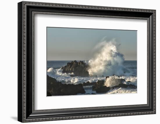 Waves Crashing on Rocks at Sunset, Asilomar State Beach, California-Sheila Haddad-Framed Photographic Print