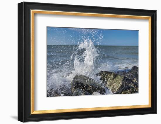 Waves crashing on rocks, Honeymoon Island State Park, Dunedin, Florida, USA-Lisa Engelbrecht-Framed Photographic Print