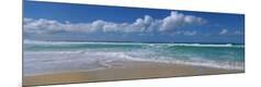 Photographic Print
