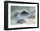 Waves crashing over lava rocks on shoreline of Espanola Island, Galapagos Islands, Ecuador.-Adam Jones-Framed Photographic Print