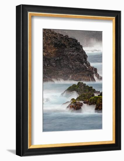 Waves crashing over lava rocks on shoreline of Espanola Island, Galapagos Islands, Ecuador.-Adam Jones-Framed Photographic Print