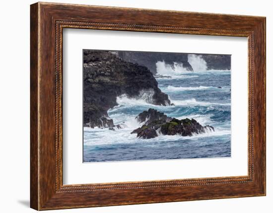 Waves crashing over lava rocks on shoreline of Espanola Island, Galapagos Islands, Ecuador.-Adam Jones-Framed Photographic Print