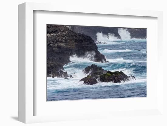 Waves crashing over lava rocks on shoreline of Espanola Island, Galapagos Islands, Ecuador.-Adam Jones-Framed Photographic Print