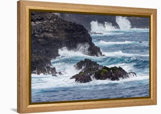 Waves crashing over lava rocks on shoreline of Espanola Island, Galapagos Islands, Ecuador.-Adam Jones-Framed Premier Image Canvas