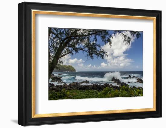 Waves Crashing Upon Rocks, Laupahoehoe Park, Hawaii, USA-Jaynes Gallery-Framed Photographic Print