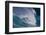 Waves cresting along Hookipa beach state park, Maui, Hawaii-Darrell Gulin-Framed Photographic Print