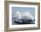 Waves in the ocean, Coral Sea, Surfers Paradise, Queensland, Australia-Panoramic Images-Framed Photographic Print