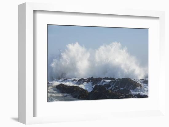 Waves in the ocean, Coral Sea, Surfers Paradise, Queensland, Australia-Panoramic Images-Framed Photographic Print