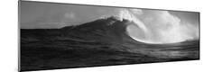 Photographic Print