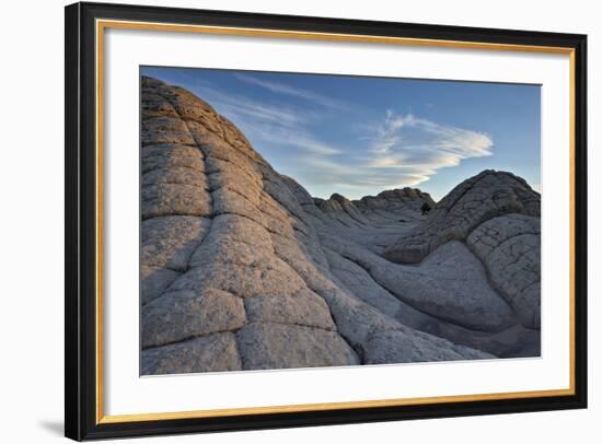 Waves of Brain Rock, White Pocket, Vermilion Cliffs National Monument-James Hager-Framed Photographic Print