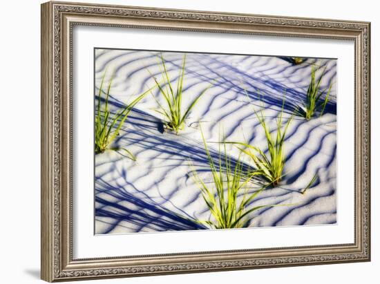 Waves of Sand II-Alan Hausenflock-Framed Photographic Print